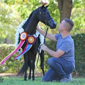 Meet your Posher, Landin